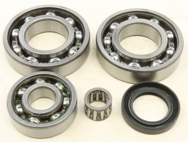 ALL BALLS - REAR DIFFERENTIAL BEARING AND SEAL KIT - Image 1