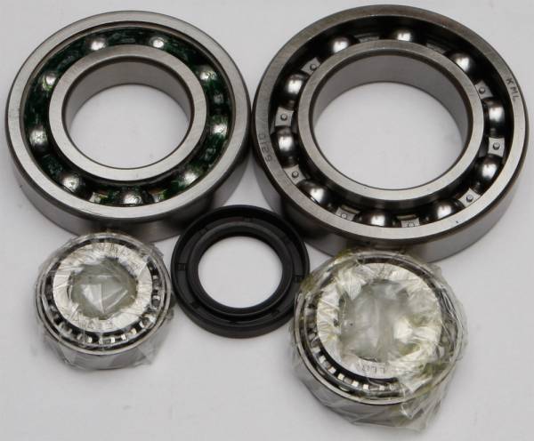 ALL BALLS - REAR DIFFERENTIAL BEARING AND SEAL KIT - Image 1