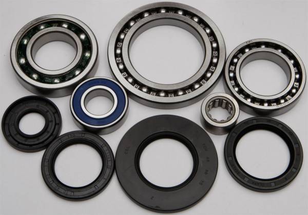 ALL BALLS - REAR DIFFERENTIAL BEARING AND SEAL KIT - Image 1