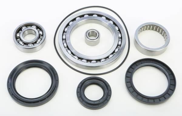 ALL BALLS - REAR DIFFERENTIAL BEARING AND SEAL KIT - Image 1