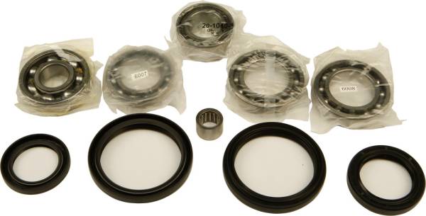 ALL BALLS - DIFFERENTIAL BEARING AND SEAL KIT - Image 1