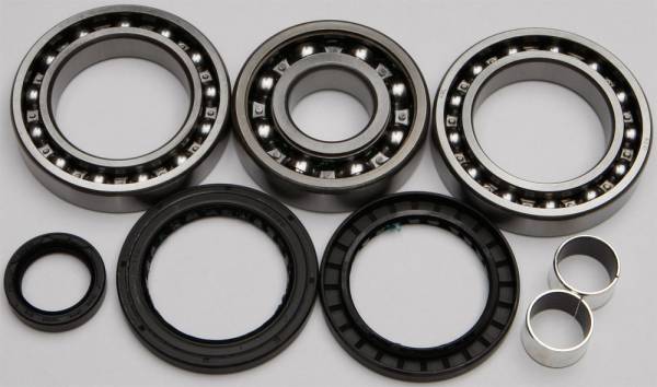 ALL BALLS - REAR DIFFERENTIAL BEARING AND SEAL KIT - Image 1