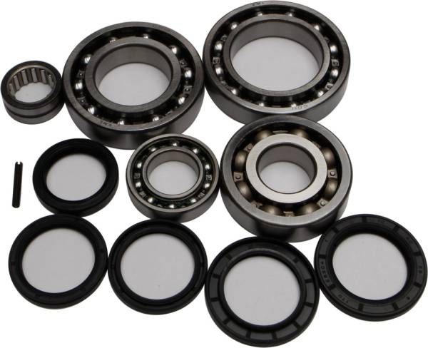 ALL BALLS - REAR DIFFERENTIAL BEARING AND SEAL KIT - Image 1