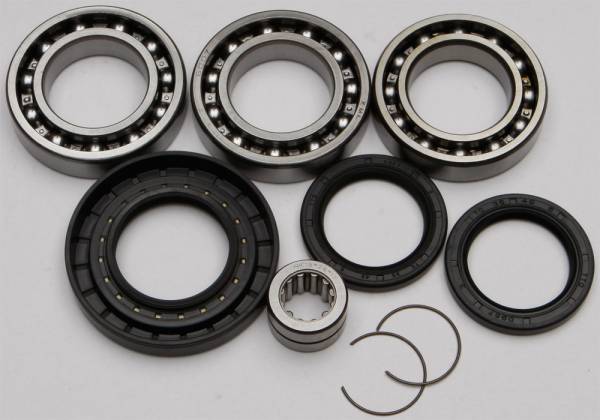 ALL BALLS - REAR DIFFERENTIAL BEARING AND SEAL KIT - Image 1