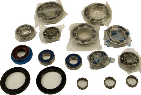 ALL BALLS - DIFFERENTIAL BEARING AND SEAL KIT - Image 1