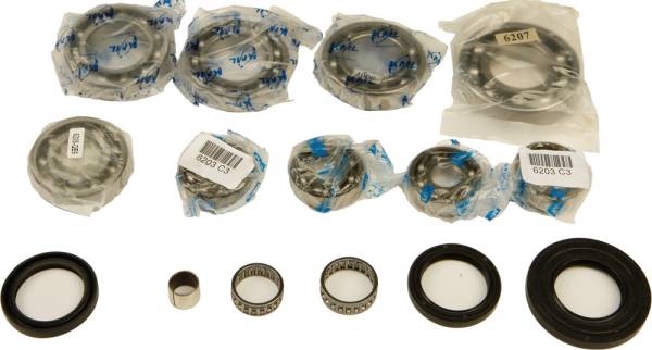 ALL BALLS - DIFFERENTIAL BEARING AND SEAL KIT - Image 1