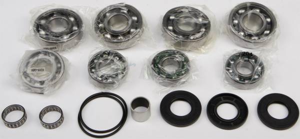 ALL BALLS - DIFFERENTIAL BEARING AND SEAL KIT - Image 1