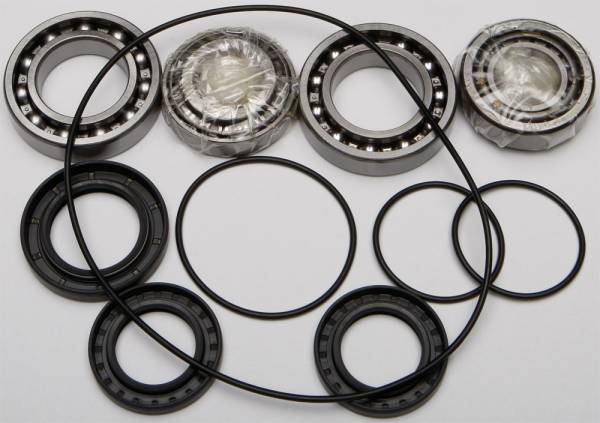 ALL BALLS - DIFFERENTIAL BEARING AND SEAL KIT - Image 1