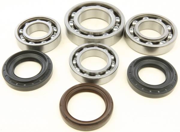 ALL BALLS - REAR DIFFERENTIAL BEARING AND SEAL KIT - Image 1