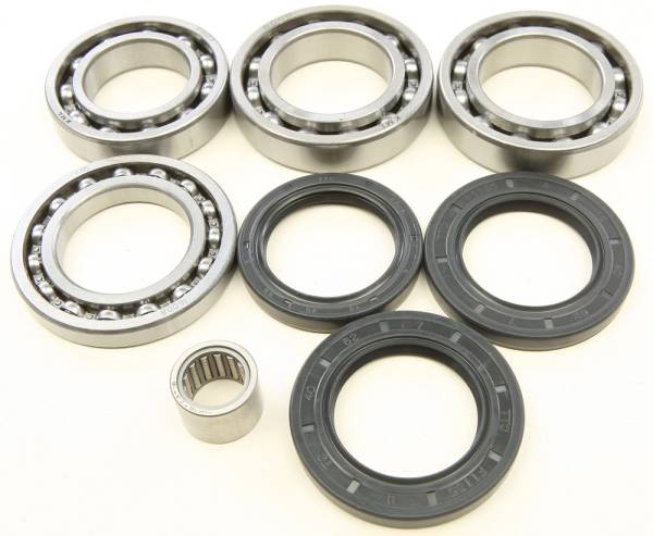 ALL BALLS - REAR DIFFERENTIAL BEARING AND SEAL KIT - Image 1