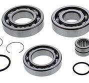 ALL BALLS - REAR DIFFERENTIAL BEARING AND SEAL KIT - Image 1