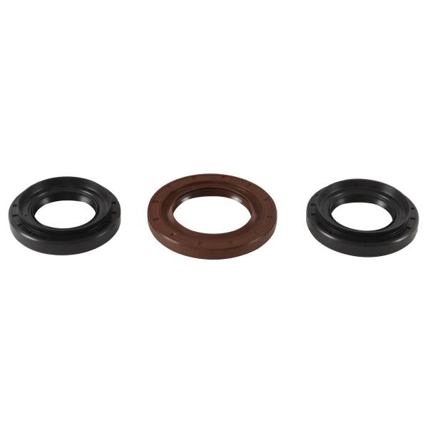 ALL BALLS - REAR DIFFERENTIAL BEARING AND SEAL KIT - Image 1