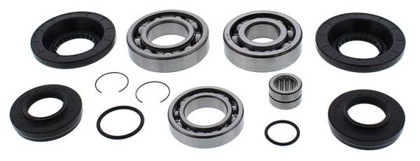 ALL BALLS - REAR DIFFERENTIAL BEARING AND SEAL KIT - Image 1