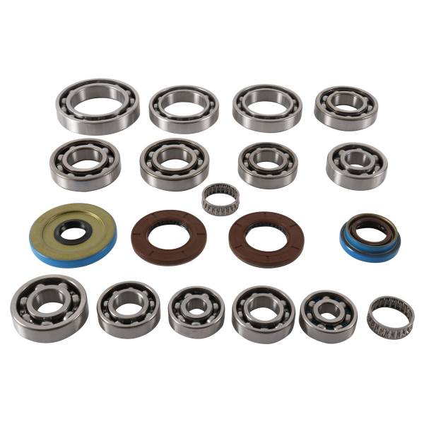 ALL BALLS - REAR DIFFERENTIAL BEARING AND SEAL KIT - Image 1