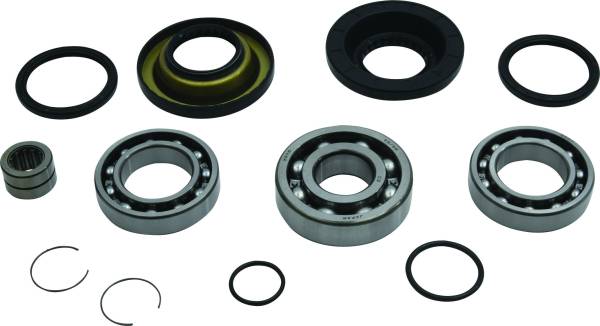 ALL BALLS - REAR DIFFERENTIAL BEARING AND SEAL KIT - Image 1