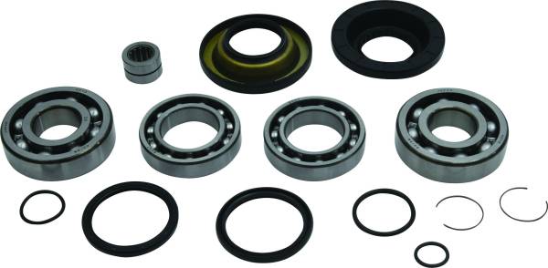 ALL BALLS - REAR DIFFERENTIAL BEARING AND SEAL KIT - Image 1