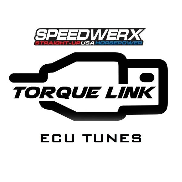 SPEEDWERX - ECU REMAP STAGE 1 POL - Image 1