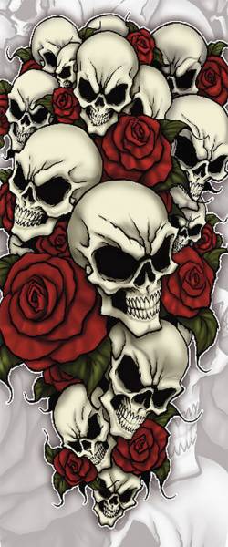 MISSING LINK - ARMPRO BONES N ROSES XS - Image 1