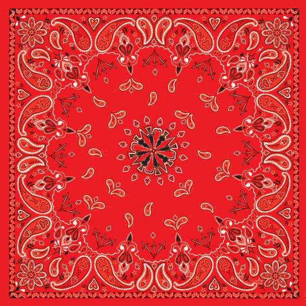 ZAN - BANDANNA RED PAISLEY - Image 1