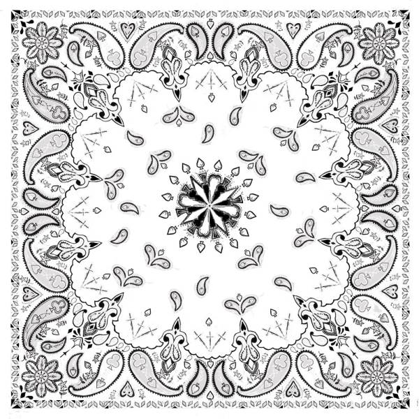 ZAN - BANDANNA WHITE PAISLEY - Image 1