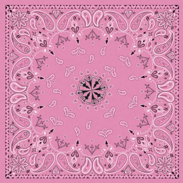 ZAN - BANDANNA PINK PAISLEY - Image 1