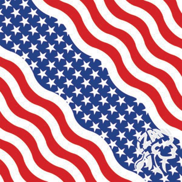 ZAN - BANDANNA USA WAVY - Image 1