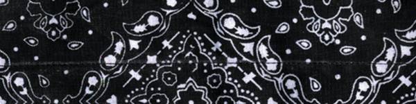 ZAN - COOLDANNA PAISLEY BLACK - Image 1