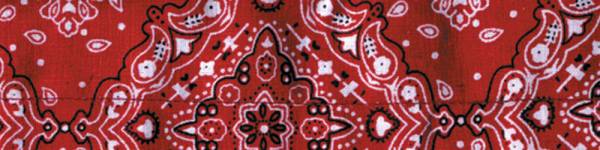 ZAN - COOLDANNA PAISLEY RED - Image 1