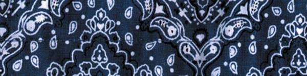 ZAN - COOLDANNA PAISLEY NAVY - Image 1