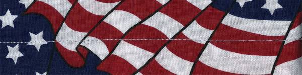 ZAN - COOLDANNA WAVY AMERICAN FLAG - Image 1