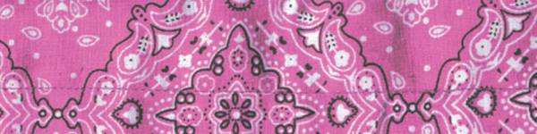 ZAN - COOLDANNA PINK PAISLEY - Image 1