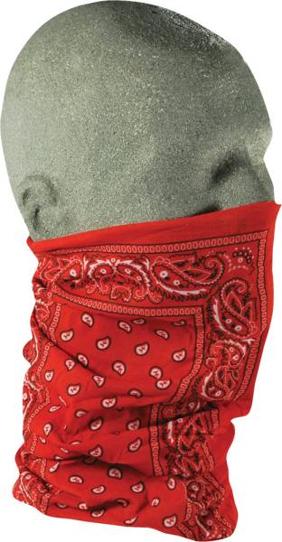 ZAN - MOTLEY TUBE RED PAISLEY - Image 1