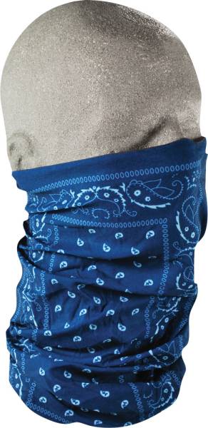 ZAN - MOTLEY TUBE BLUE PAISLEY - Image 1