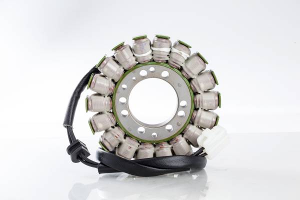 RICKS - STATOR - Image 1