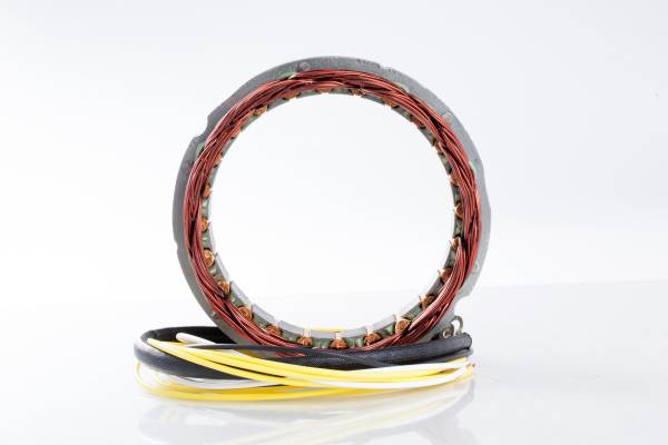 RICKS - STATOR - Image 1