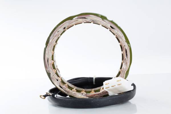 RICKS - STATOR - Image 1