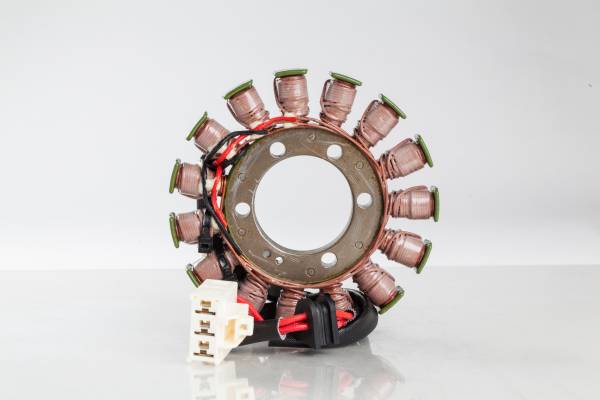 RICKS - STATOR - Image 1