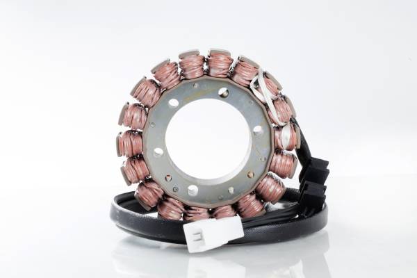 RICKS - STATOR - Image 1