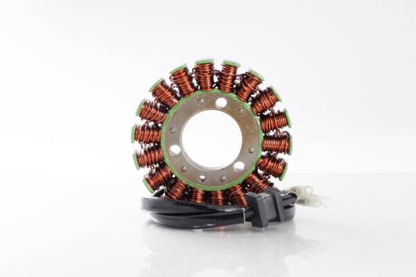 RICKS - STATOR - Image 1