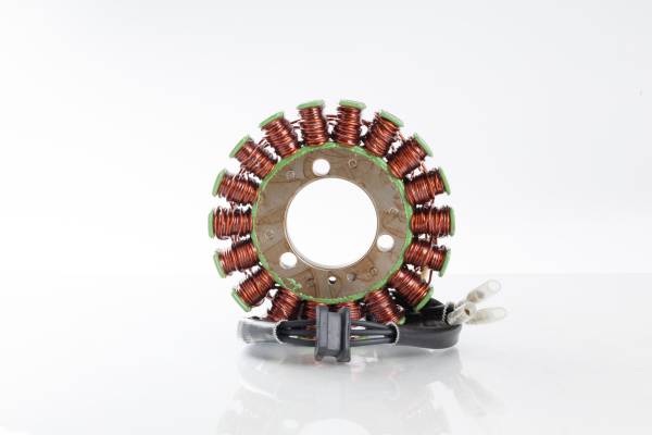 RICKS - STATOR - Image 1