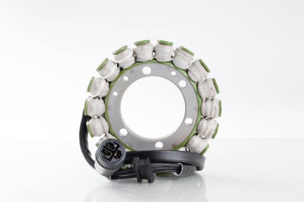 RICKS - STATOR - Image 1