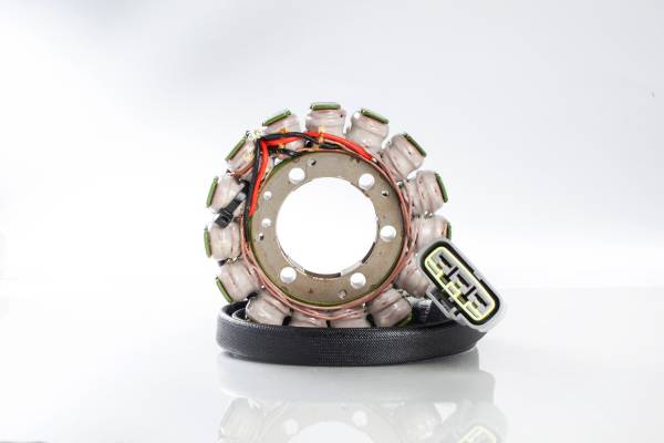 RICKS - STATOR - Image 1