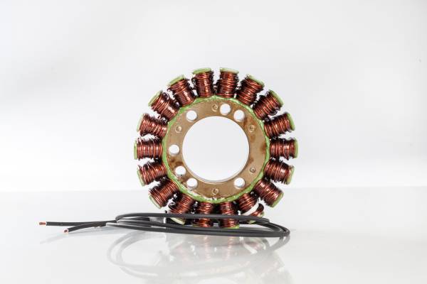 RICKS - STATOR - Image 1