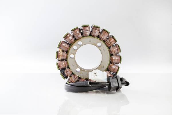 RICKS - STATOR - Image 1