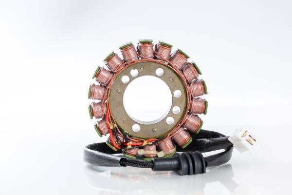 RICKS - STATOR - Image 1