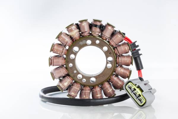 RICKS - STATOR - Image 1