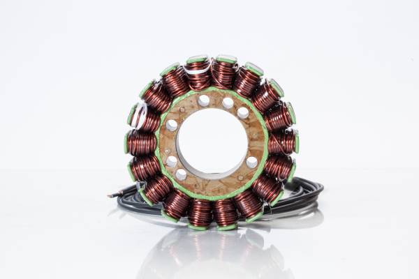 RICKS - STATOR - Image 1