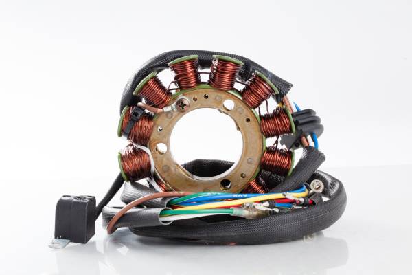 RICKS - STATOR - Image 1