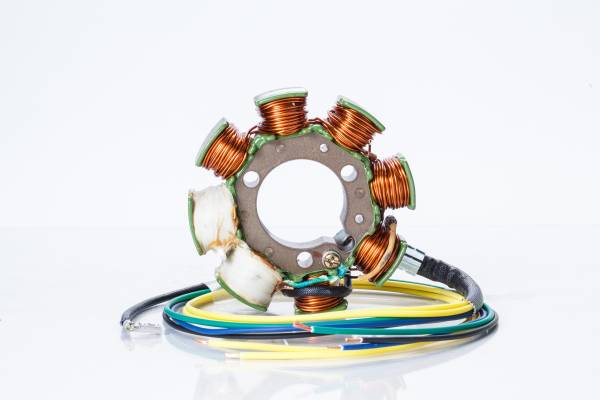 RICKS - STATOR - Image 1