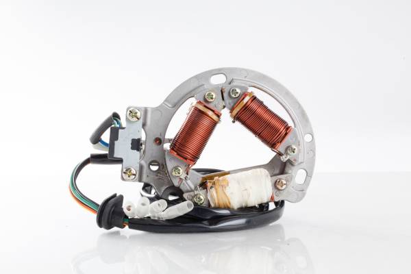 RICKS - STATOR - Image 1